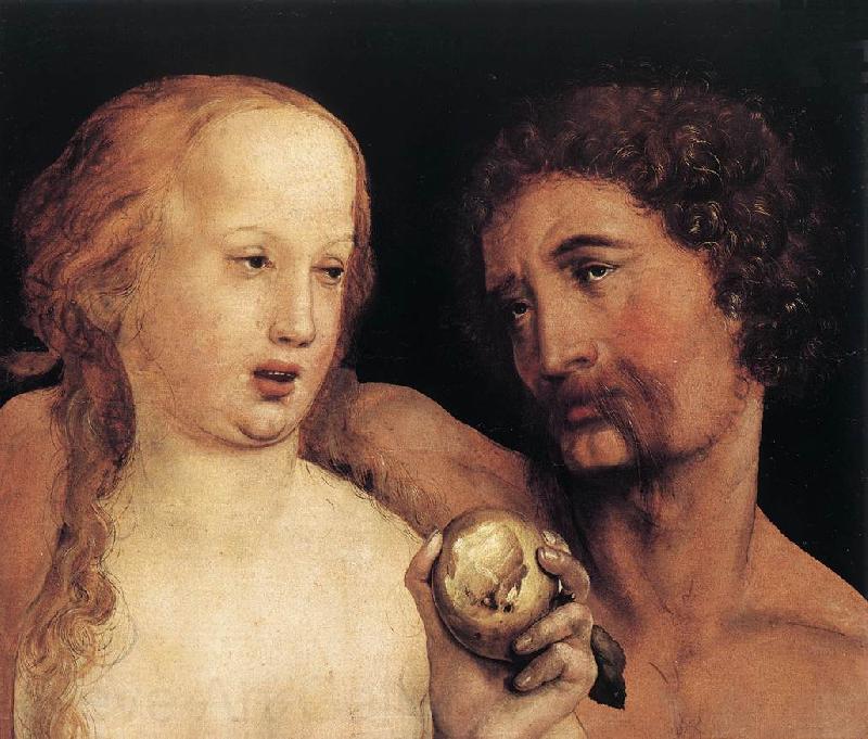 HOLBEIN, Hans the Younger Portrait of Benedikt von Hertenstein af France oil painting art